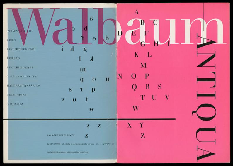 38910613804 926ec5de59 z3